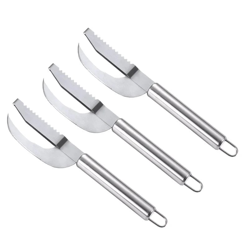 Multi Fish Scale Knife 3-in-1