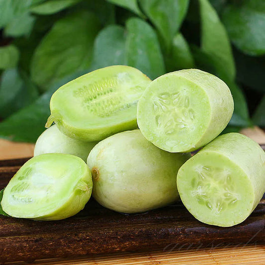 Thumb Cucumber - Jade Lady Cucumber Seeds + Plant Growth Supplement Free