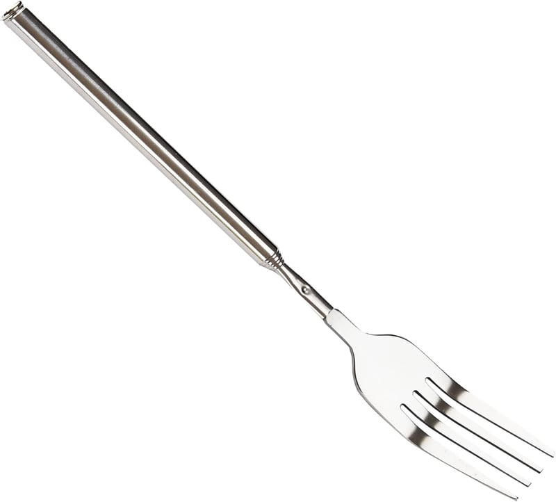 Stainless steel telescopic fork