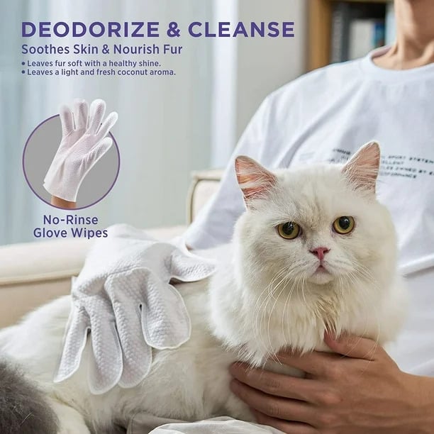 Deodorizing Pet Glove Wipes For Dogs - Pack Of 6