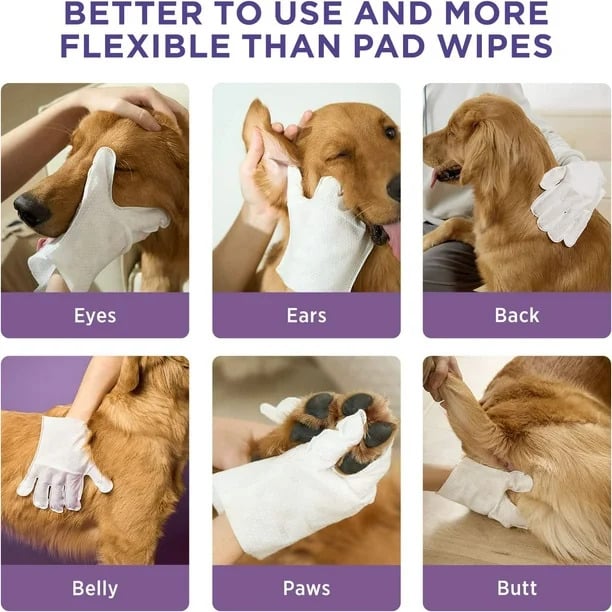Deodorizing Pet Glove Wipes For Dogs - Pack Of 6