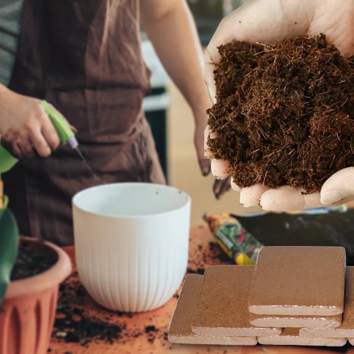 Organic Coconut Coir for Plants - Pack Of 10