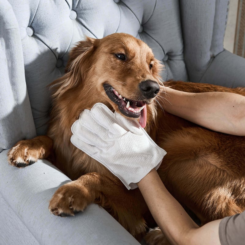 Deodorizing Pet Glove Wipes For Dogs - Pack Of 6