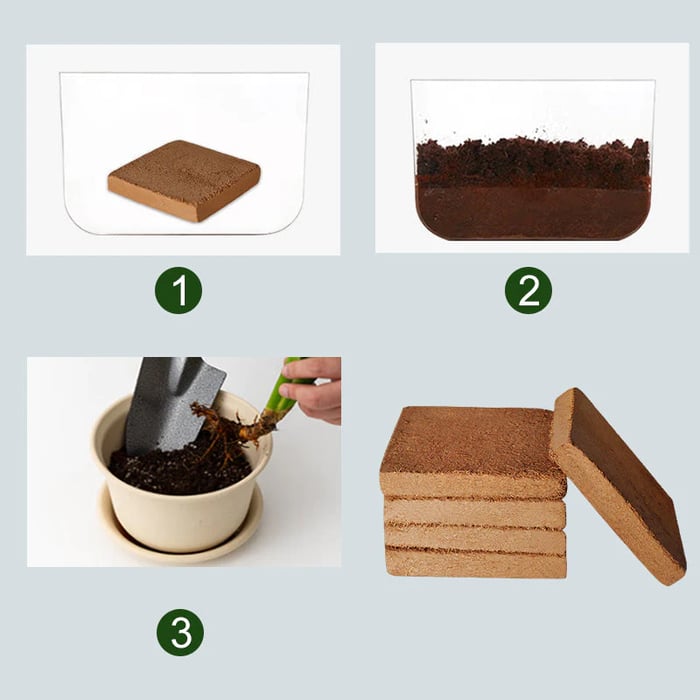 Organic Coconut Coir for Plants - Pack Of 10