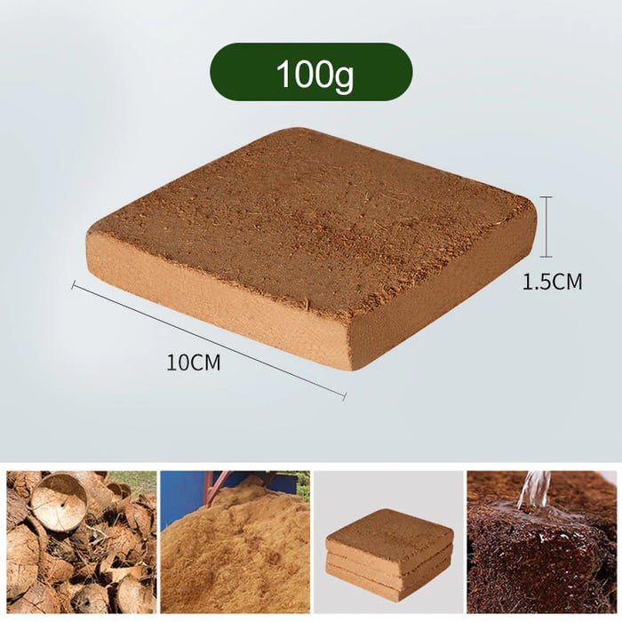 Organic Coconut Coir for Plants - Pack Of 10
