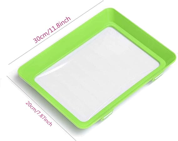 Environmentally Friendly Design - Reusable Food Preserving Tray