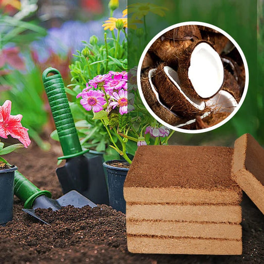 Organic Coconut Coir for Plants - Pack Of 10