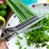 5 Blade Kitchen Salad Scissors