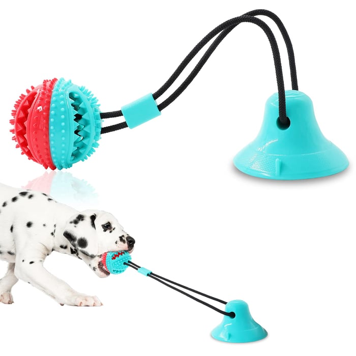 Dog Chew Toys