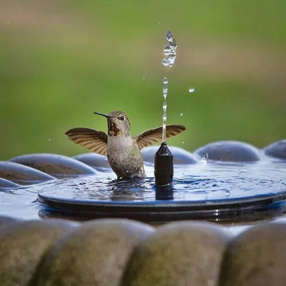 Solar Powered Water Fountain