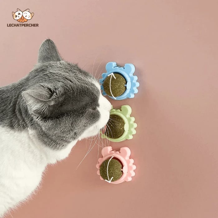 CATNIP WALL BALL