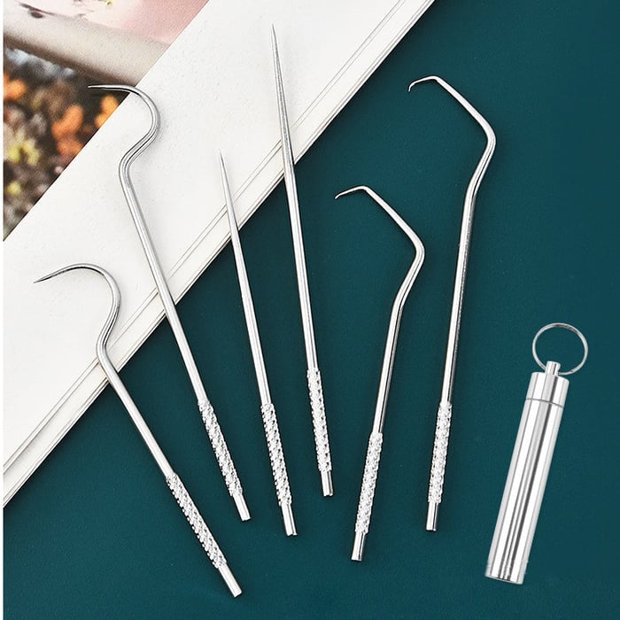 Stainless steel toothpick set - 7 pieces