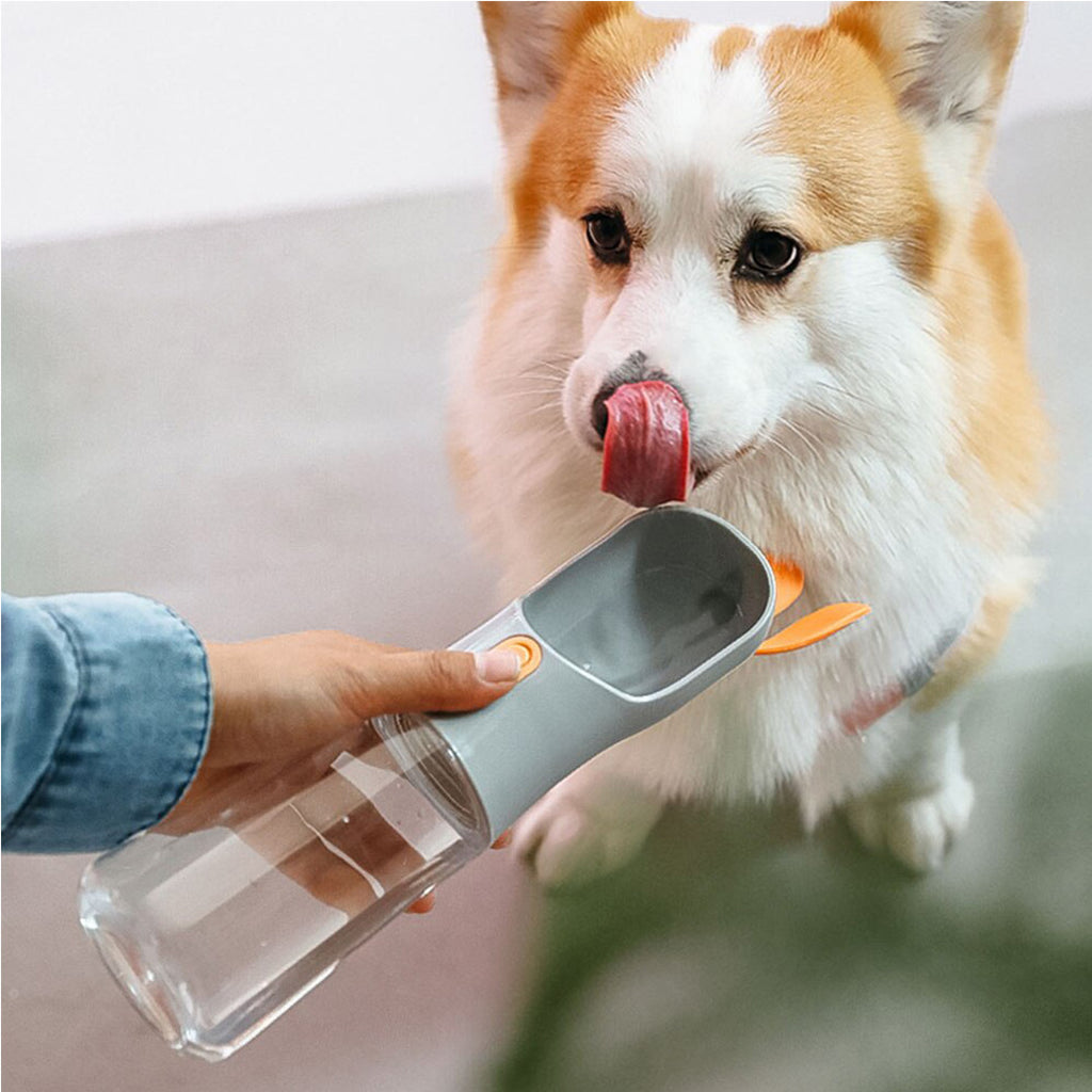 Portable Water Bottle for Pets