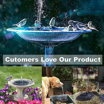 Solar Powered Water Fountain