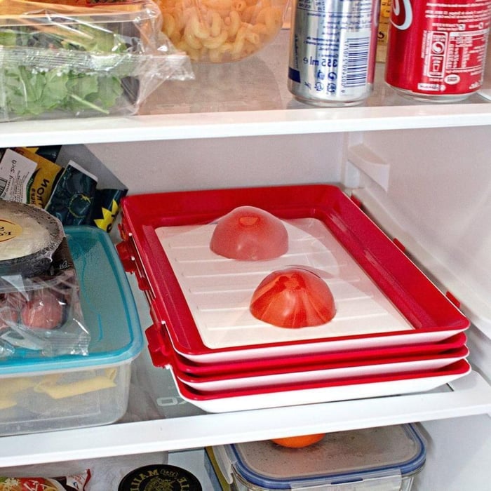 Environmentally Friendly Design - Reusable Food Preserving Tray