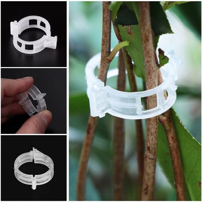 Plant Support Clips - Pack Of 50