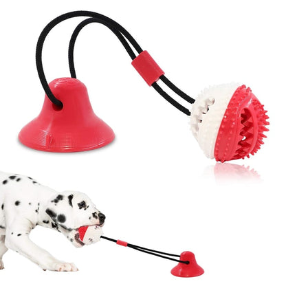 Dog Chew Toys