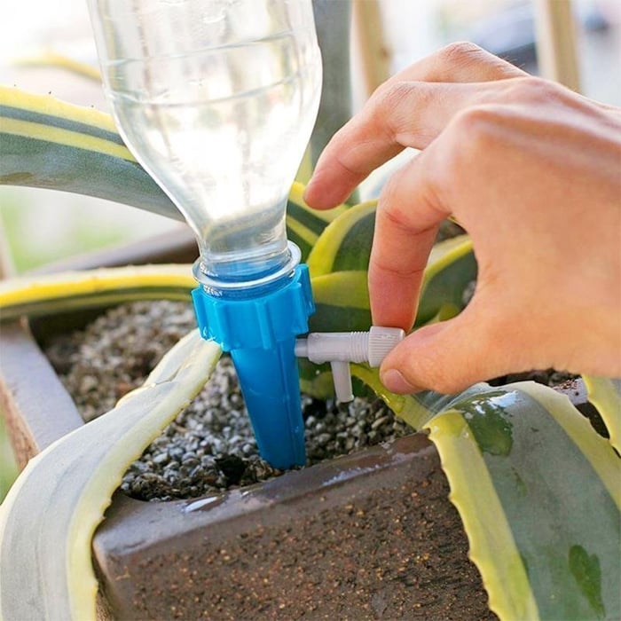 Watering System For Potted Plants