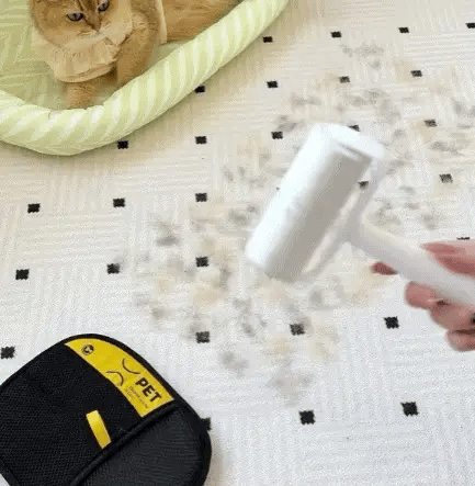 Pet Fur Removal Magic Brush